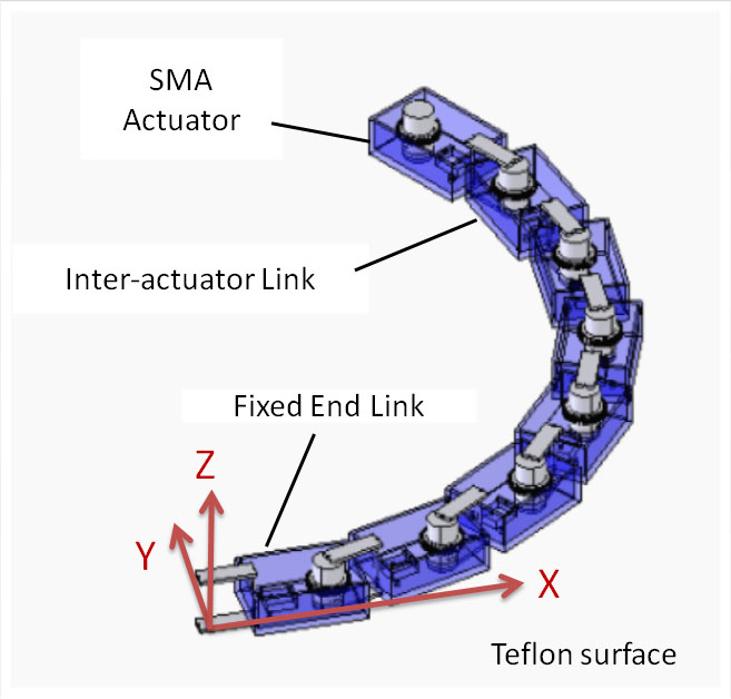 Shape Formation