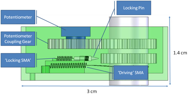 SMA Actuator Side View