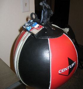 Speed Bag with Circuit