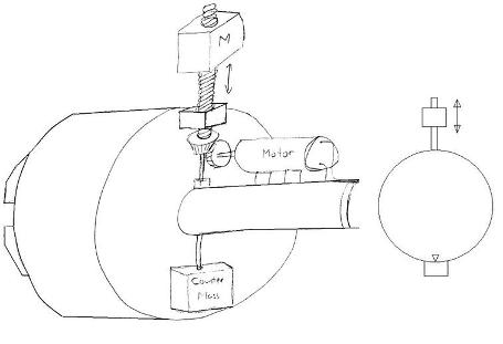 Figure 5.jpg