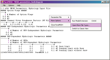 Developer View (ASCII-Based Editor)